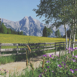 Discover fascinating surroundings of Tyrol.